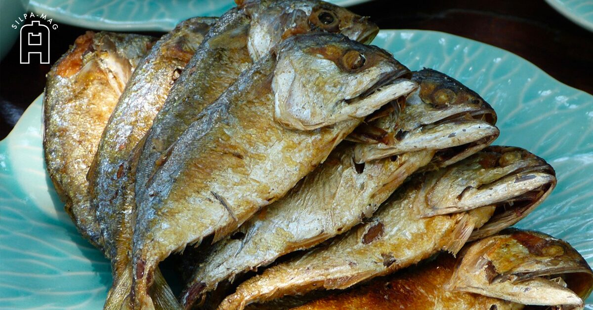 ปลาทูทอด เป็นเมนูโปรดของต้นตระกูล "หวั่งหลี" เก็บกินได้นานเป็นเดือนๆ